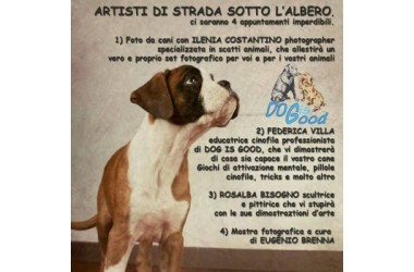 Eventi - Dog is Good - Domenica 21 Dicembre 2014