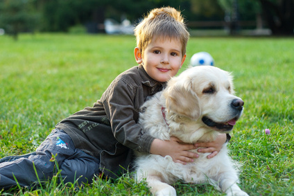 Vitality System, un sistema per la salute del cane