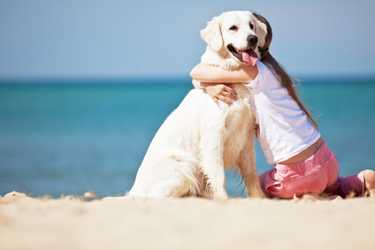 Tu e il tuo cane in viaggio, consigli pratici