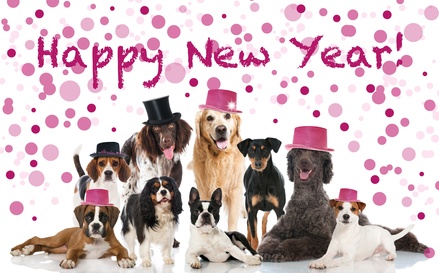 n felice 2015 da Pet Shop Store