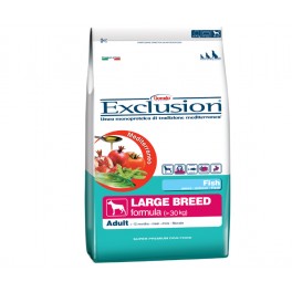 Exclusion Mediterraneo Adult Large Pesce