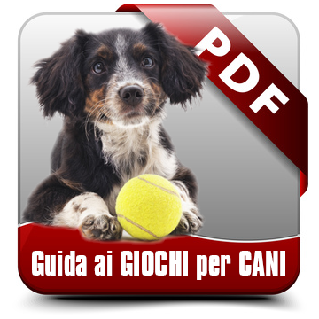 https://alimentianimalionline.it/blog/post/offerta-su-tappetini-giochi-per-cani-e-cibo-umido-gatto-monge