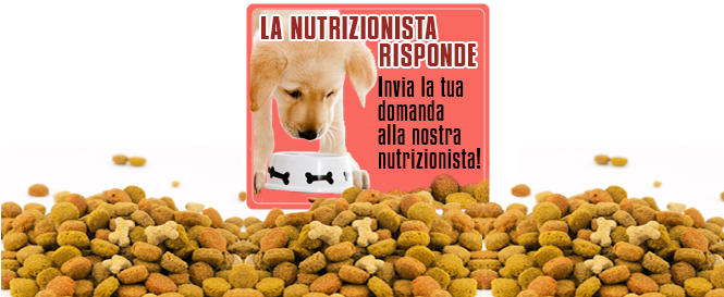 Il nutrizionista per cani